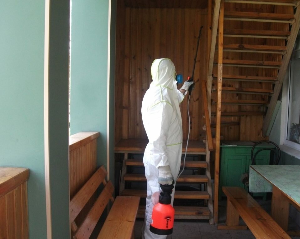 clean house, дезинфекция от клопов, дезинсекция, ооо компания, дезинфекция