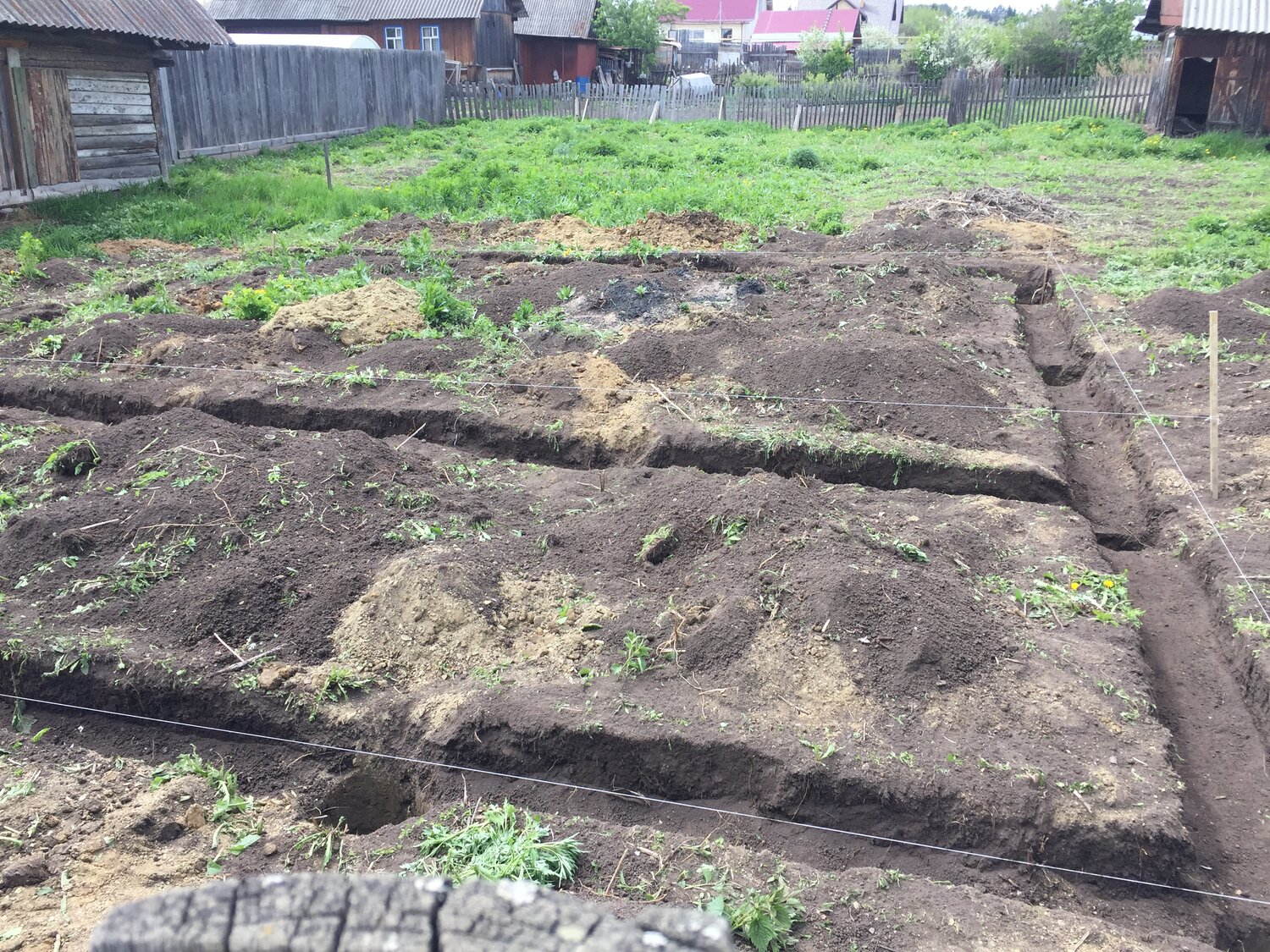 участка, огород в саду, огород, грядки, участок с домом