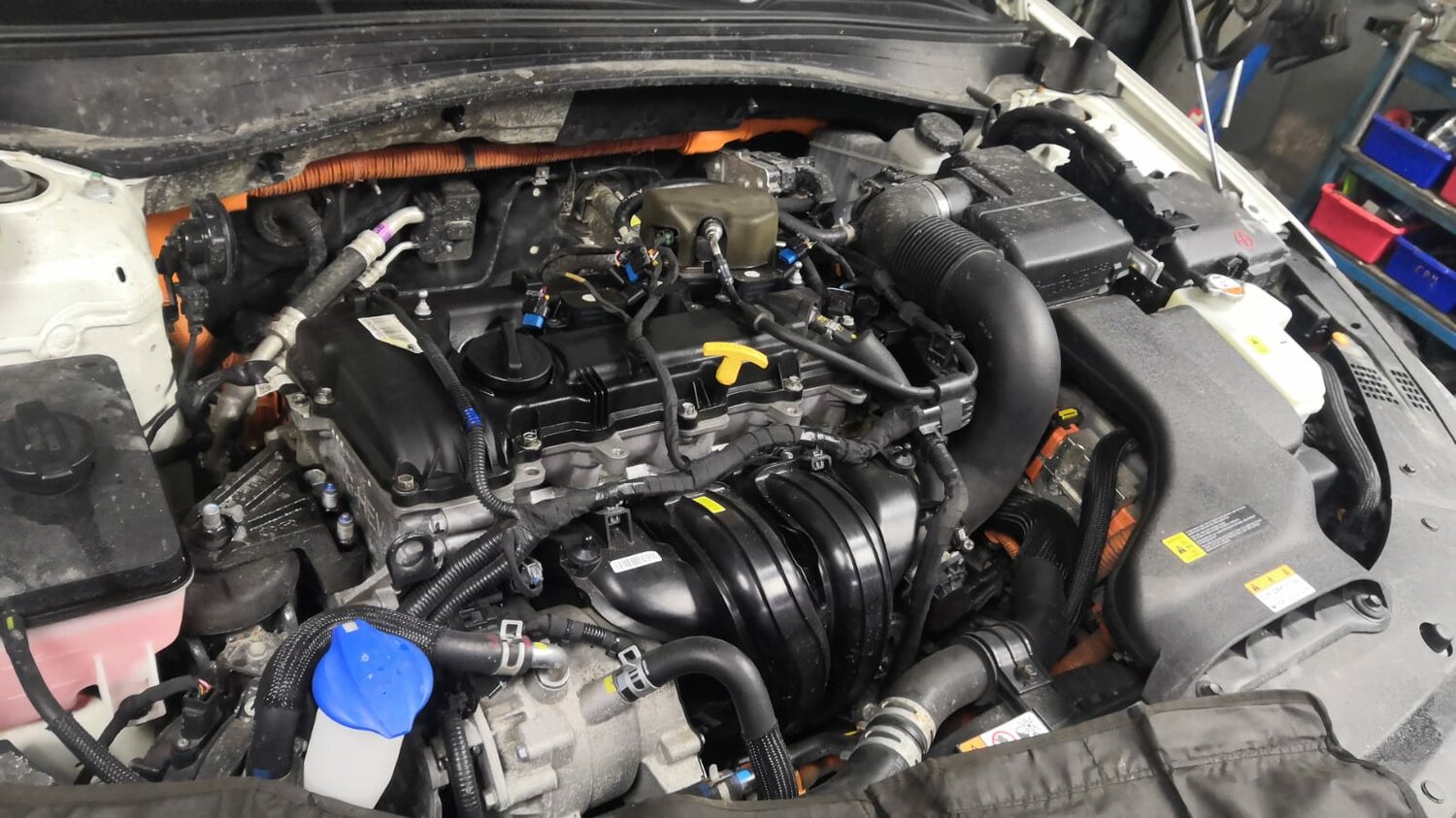 гбо nissan teana, гбо киа оптима 2.0, hyundai creta гбо, ford focus двигатели 2010, kia mohave мотор