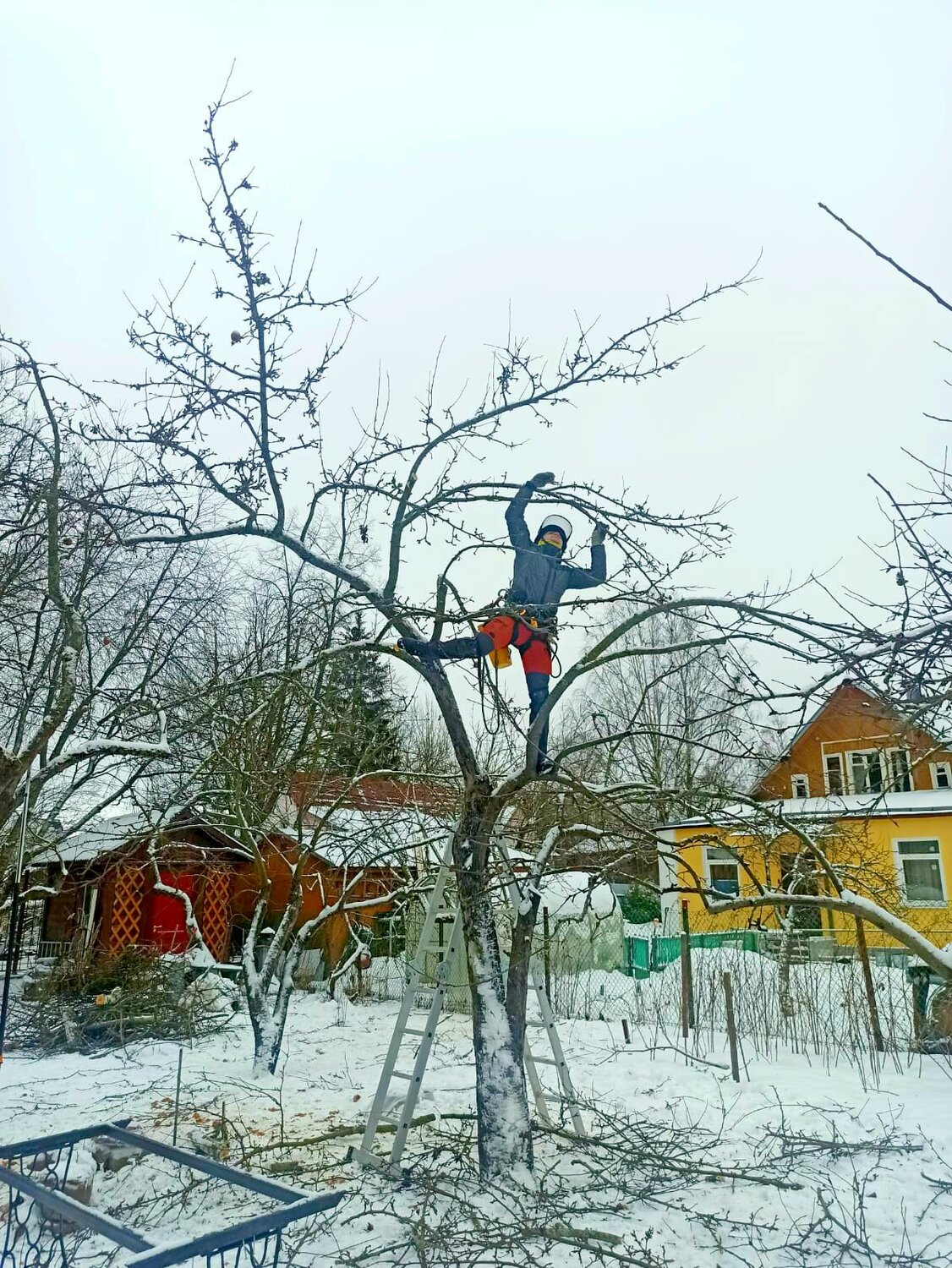 дом ранней весной, осина дерево обрезка, обрезка яблони, зависшее дерево, дерево