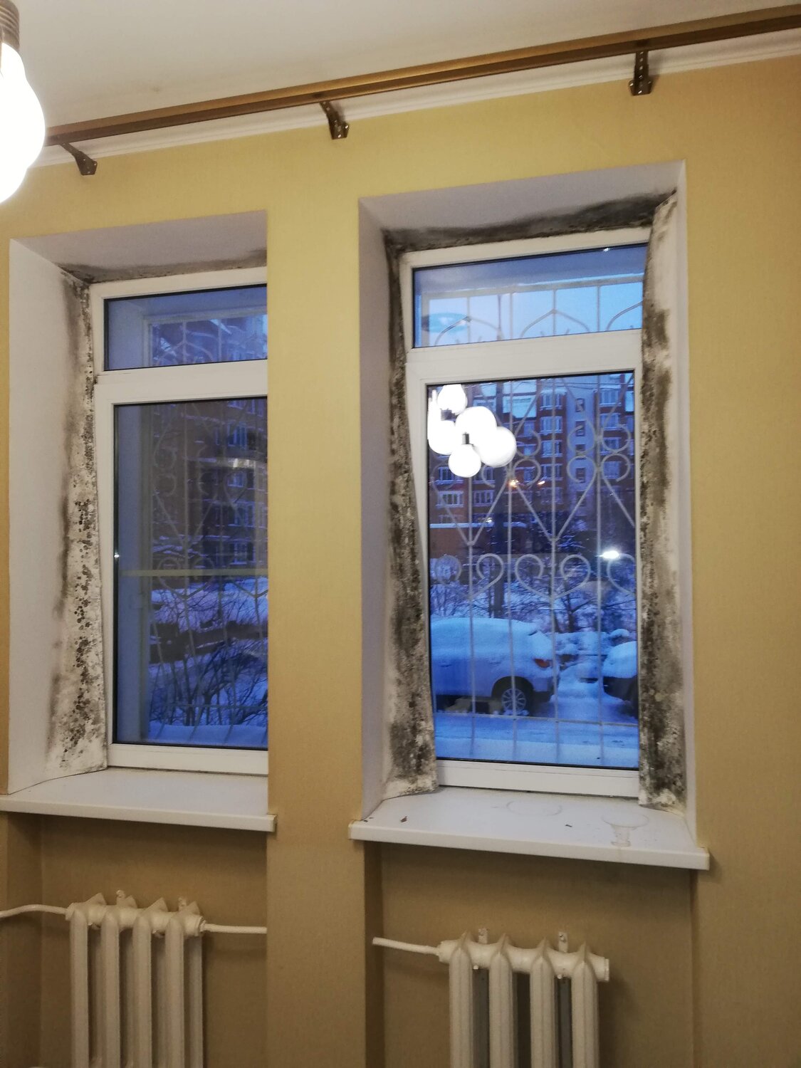 Паразит в Москве: 16 исполнителей с отзывами и ценами на Яндекс Услугах.