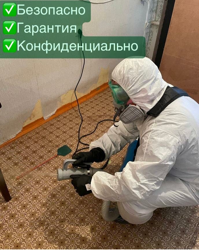 дезинфекция, дезинсекция, дезинфекция дезинсекция дератизация, дезинсекция и дератизация, дезинфекция от клопов ижевск