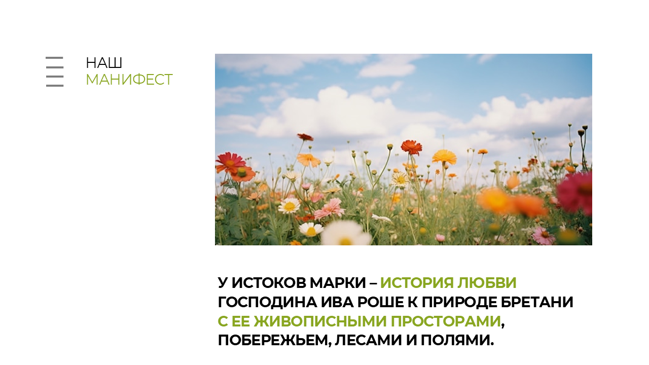 дикие цветы, цветы поле, цветок лето, природа цветы, цветок полевой