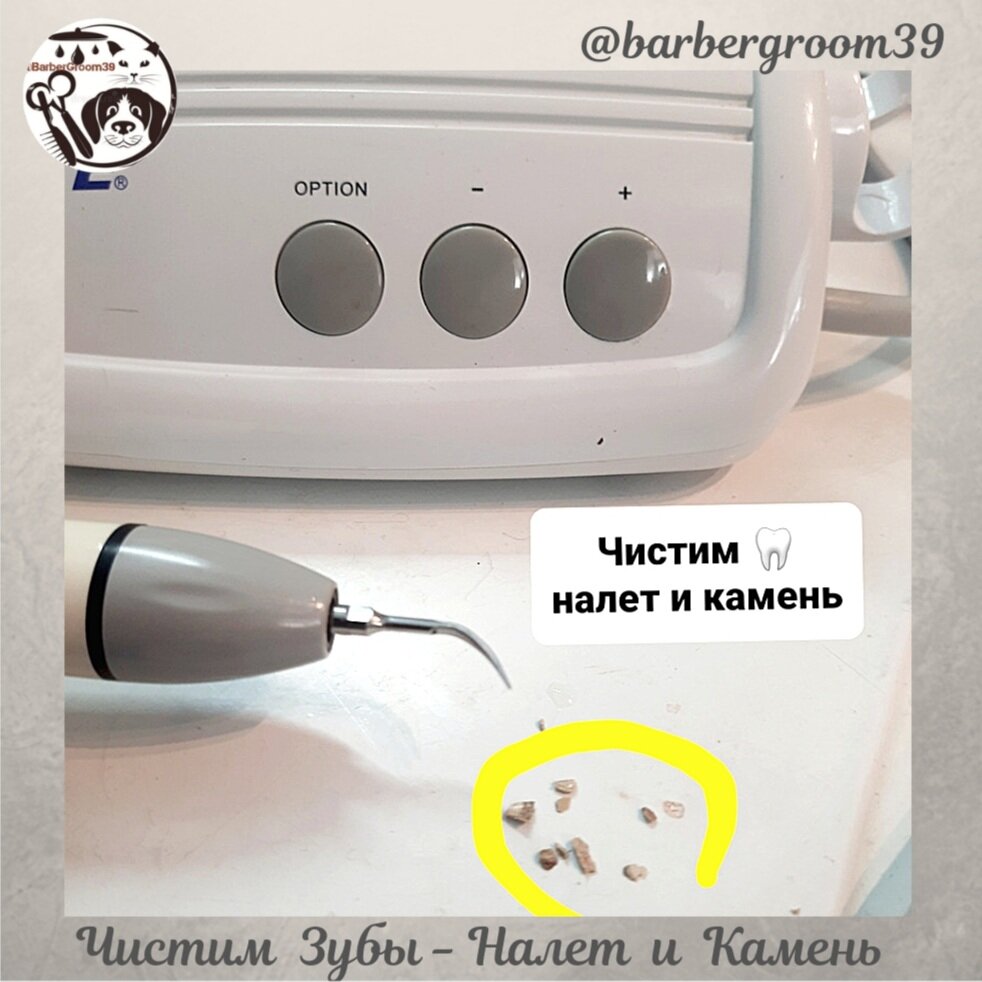 удаление зубного камня, скалер ультразвуковой для удаления зубного камня, ультразвуковой скалер для чистки зубов, скалер для удаления зубного камня, зубного камня