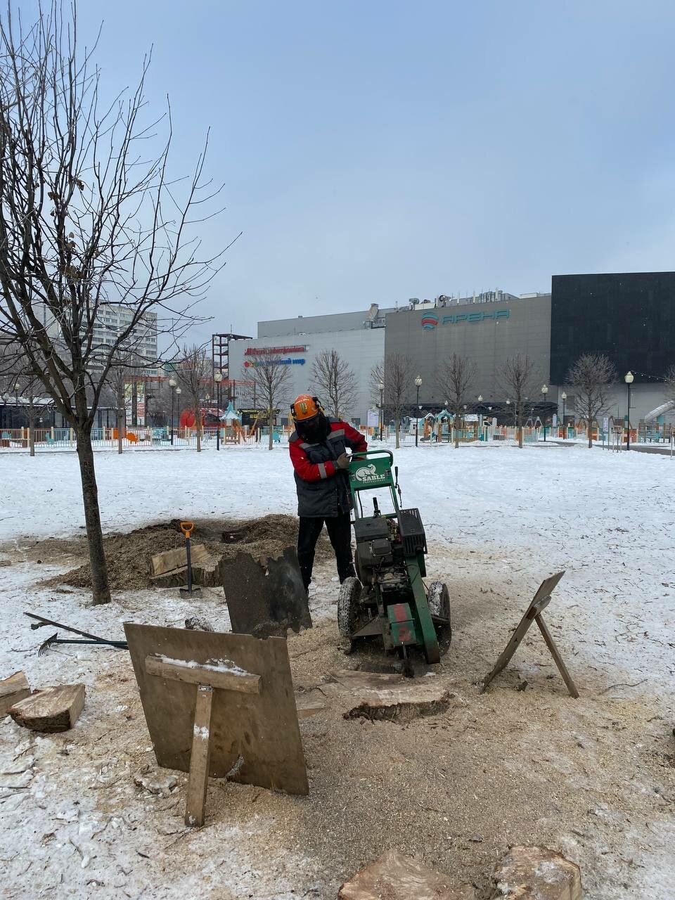 зима дерево, улиц, москва москва, городские, фотографии