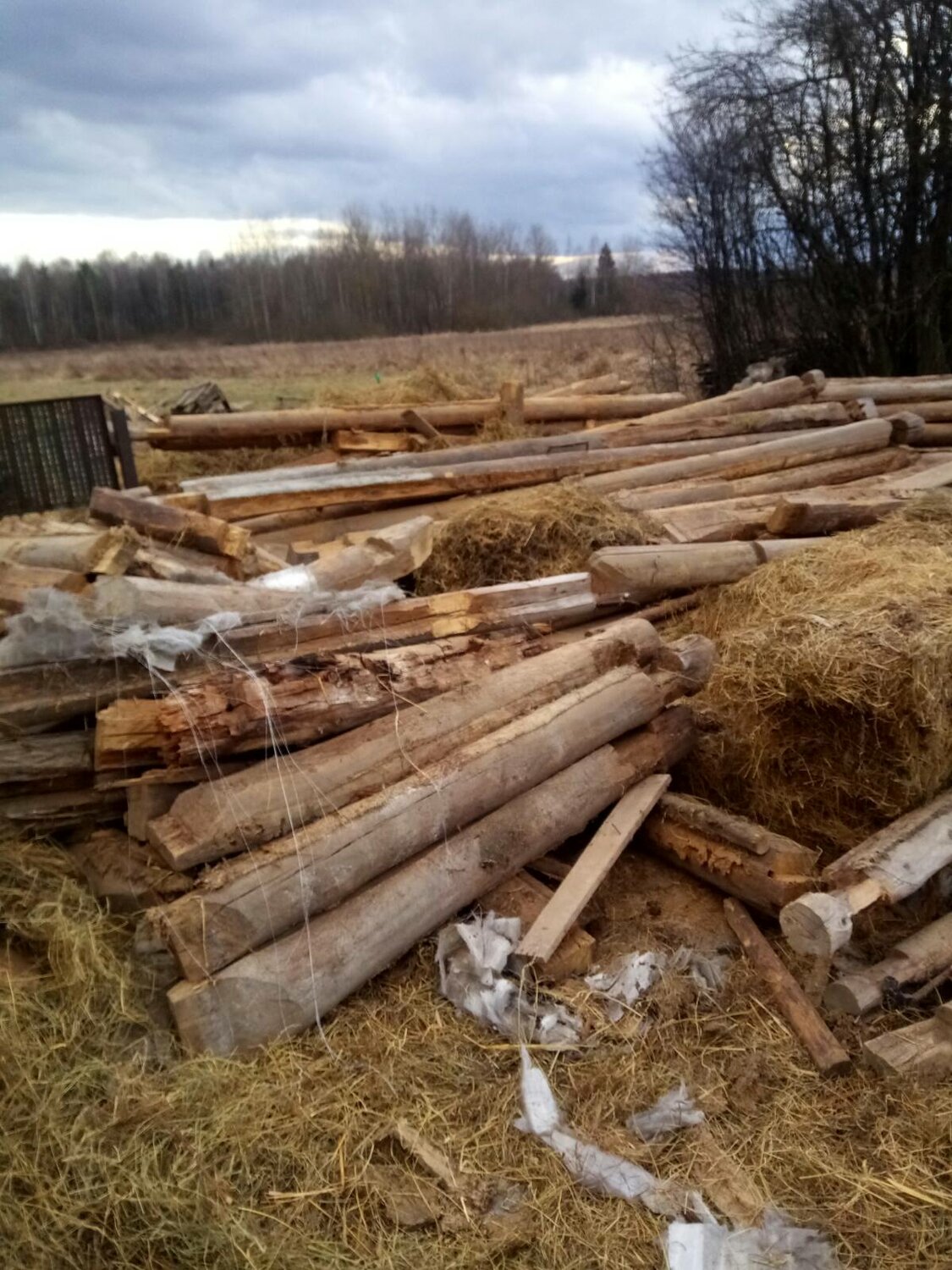 делянка леса, лесное хозяйство, вырубка леса в белорецком районе, отходы от сруба дома, сруб 6х4 в кубе из бревен
