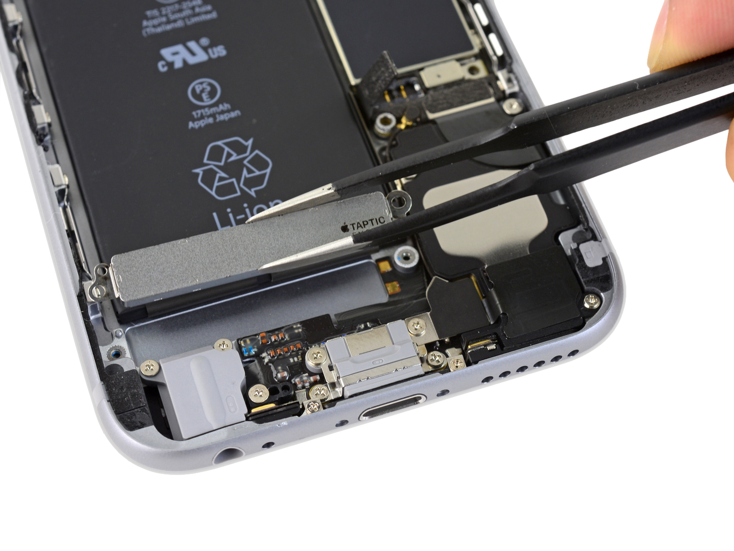 вибромотор для iphone 6s, вибромотор iphone 6, iphone 6, ifixit, сервисный центр apple