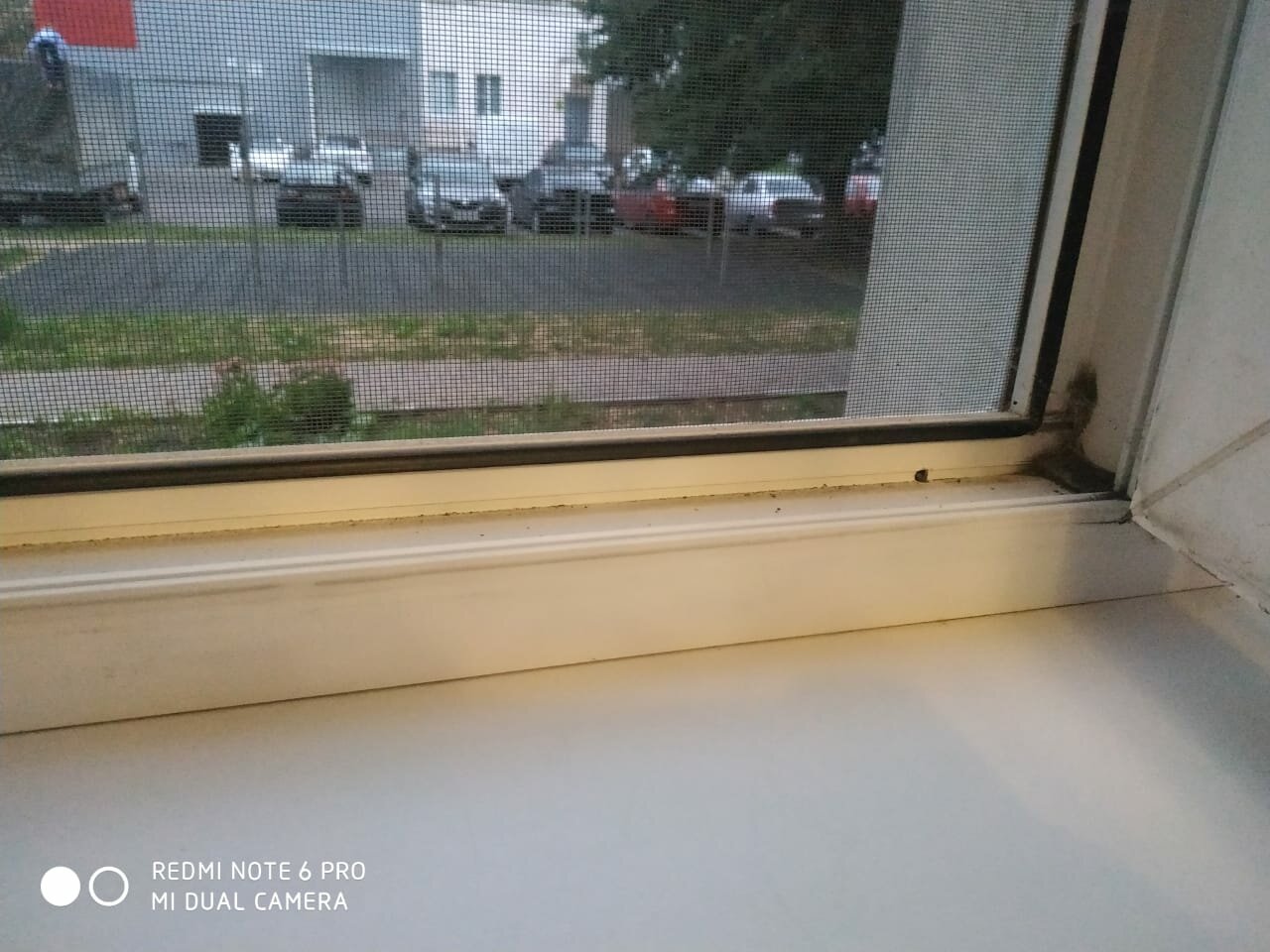 Ремонт москитных сеток