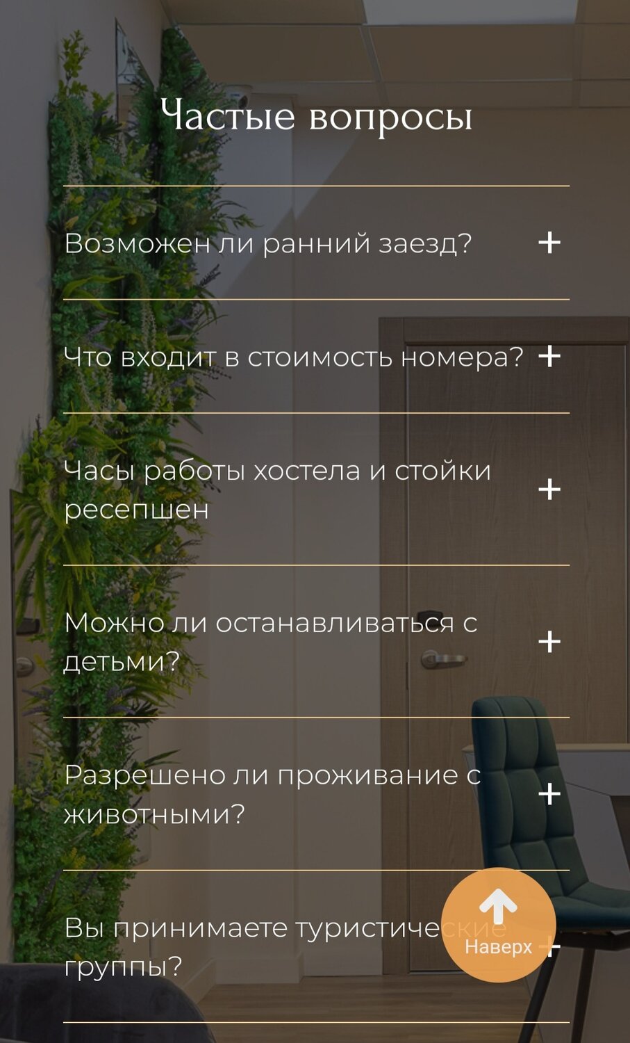 упражнение, вопросы для зятя, спец предложение, курсы дизайна, отель