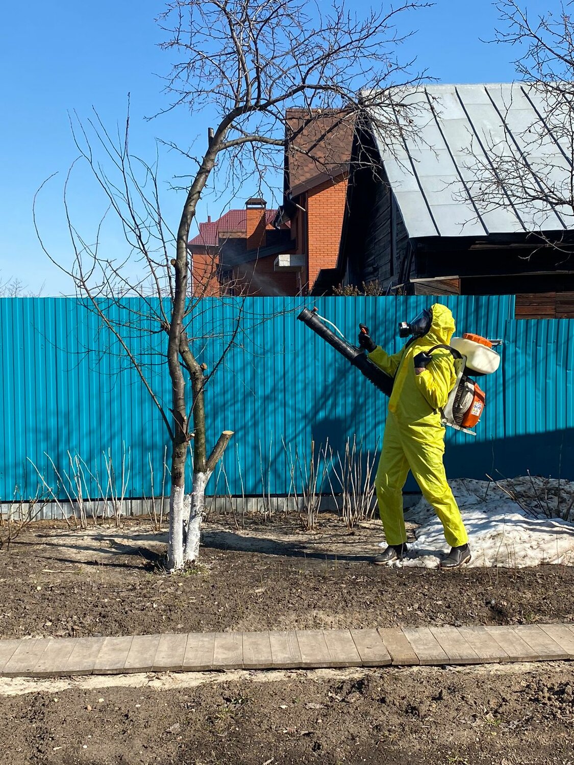 обработка сада, опрыскивание деревьев, обработка сада весной, опрыскивание сада, обработка от клещей