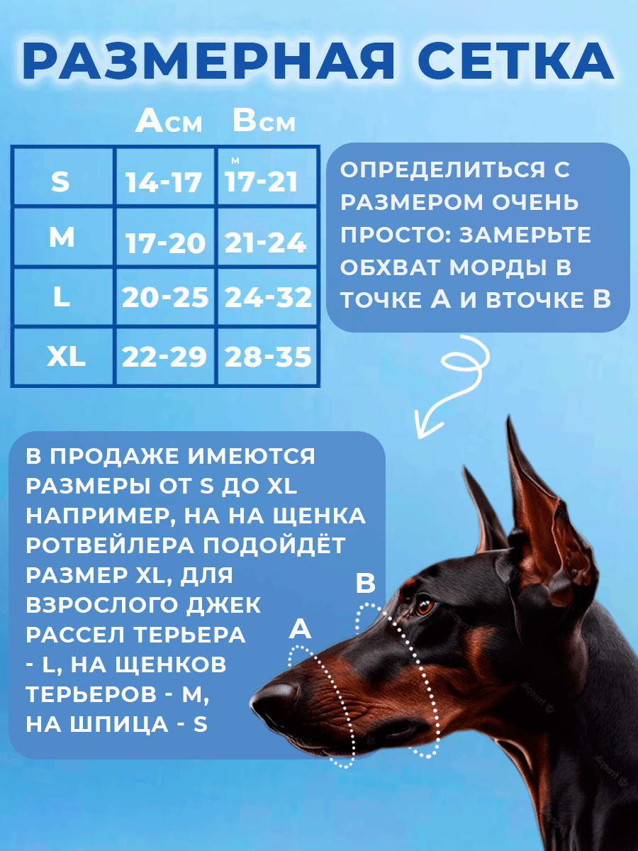доберман размеры, доберман, щенок добермана, породы собак, собака породы доберман