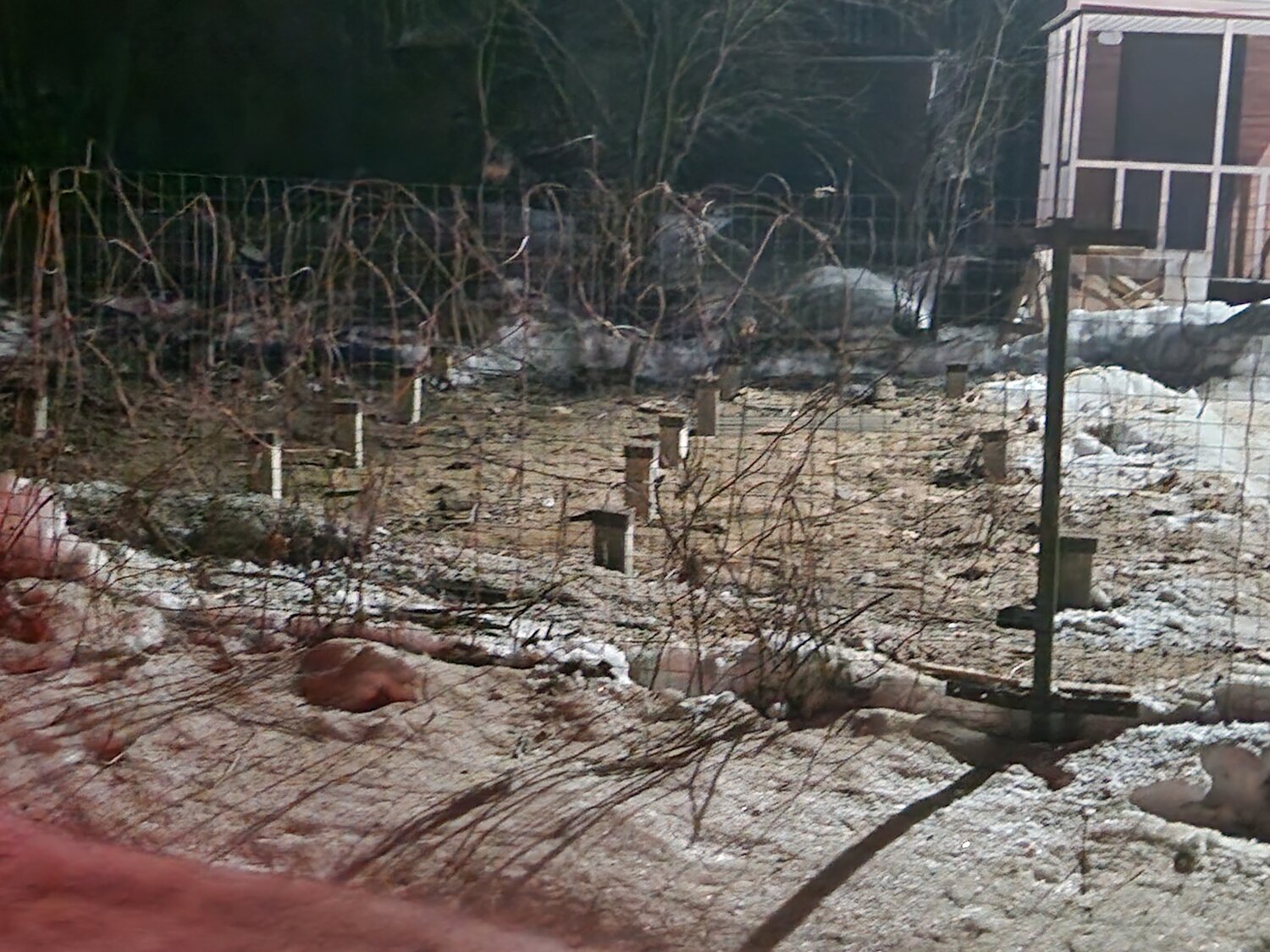 сгорел дом, пожар в лесу, красное озеро, участок, дом у озера 2006