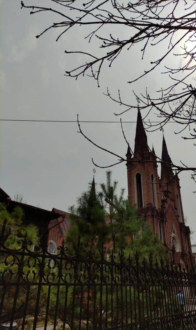 католический собор, самара католическая церковь, католическая церковь, католический храм, римско католический костёл