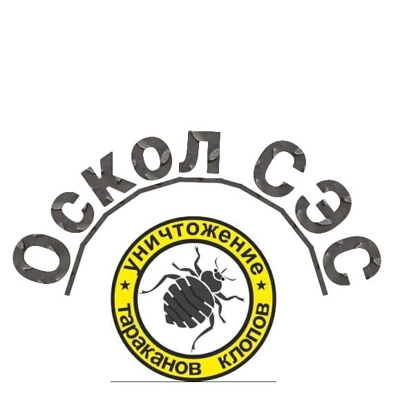Оскол СЭС