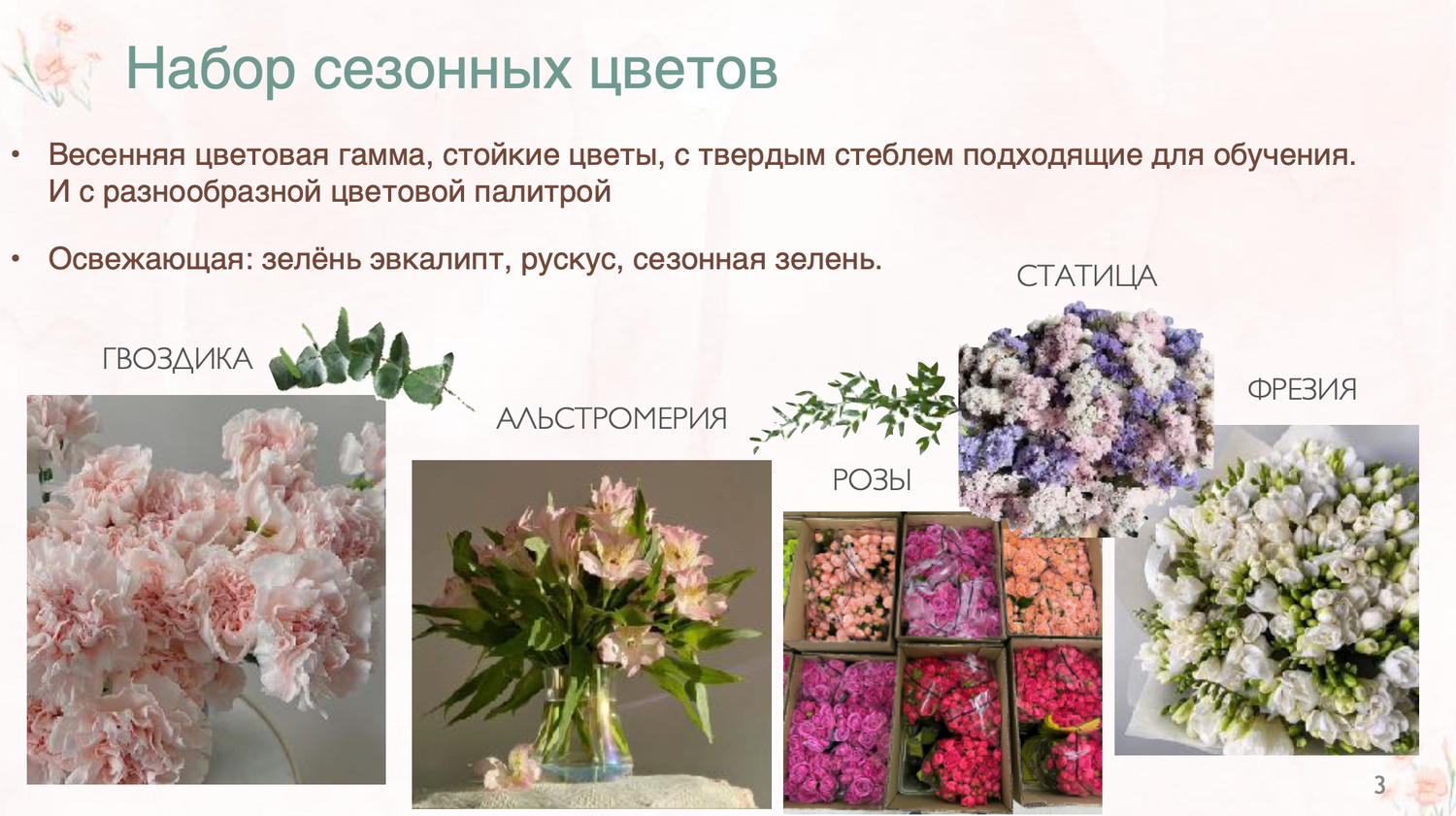 цветок альстромерия, цветы, альстромерии цветы, альстромерия араминта, альстромерии букет