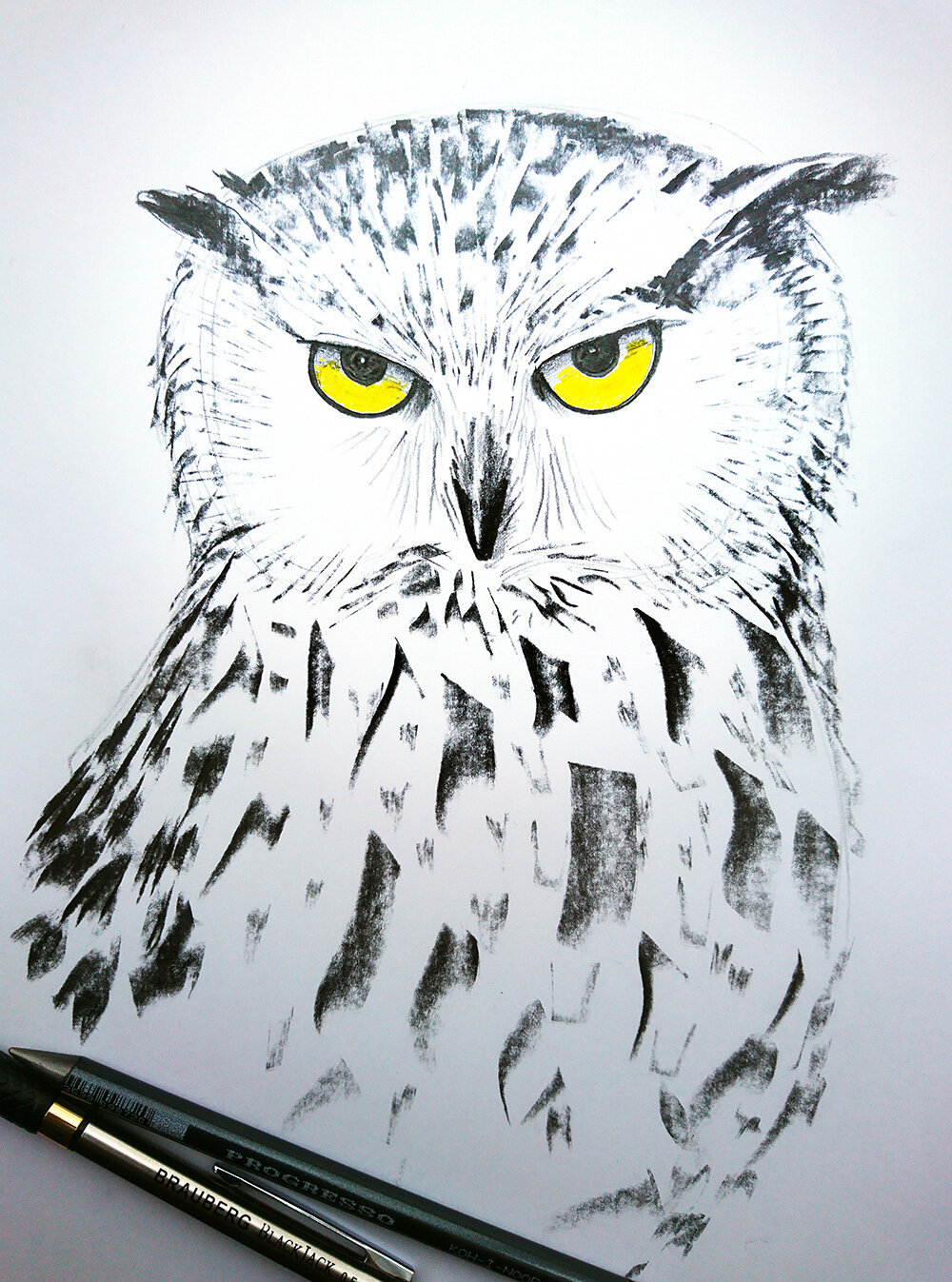 сова, owl, филин, сова картина, hoot owl