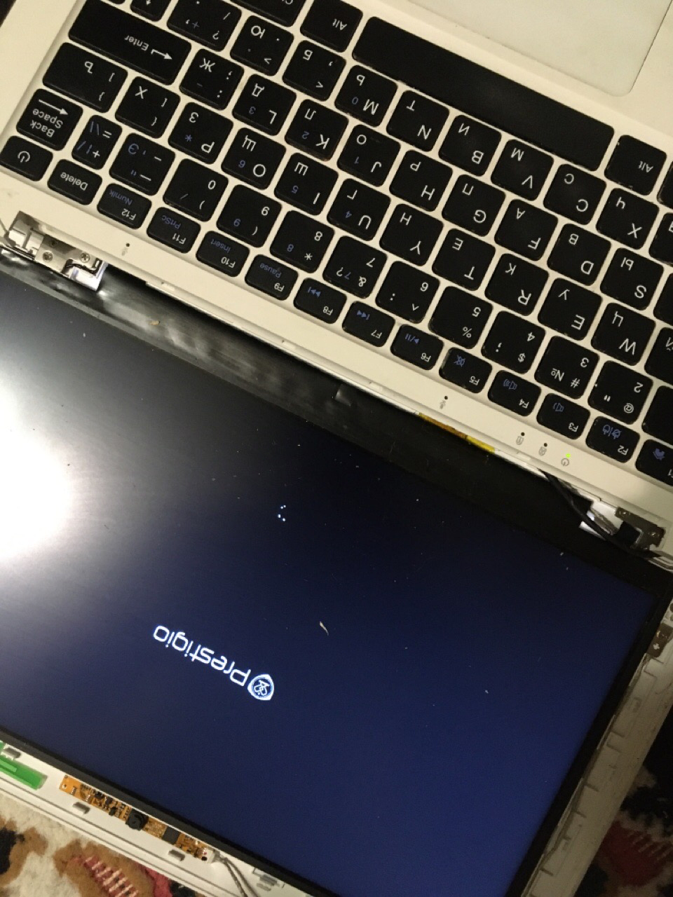 ноутбук, техника, asus k555l, асус r540y, asus x540sc