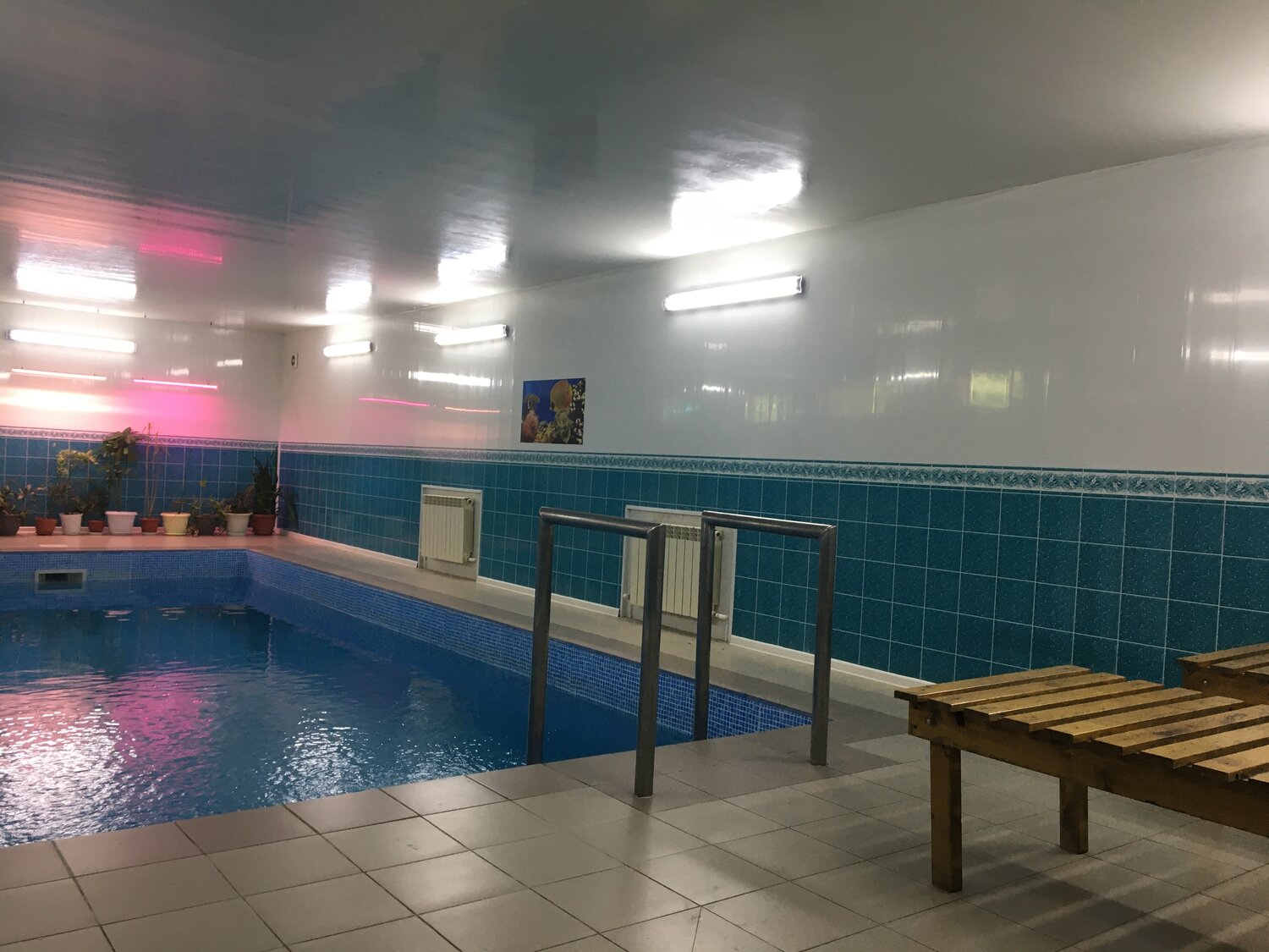 сауна с бассейном, бассейн, детский бассейн, сауна, баня бассейн