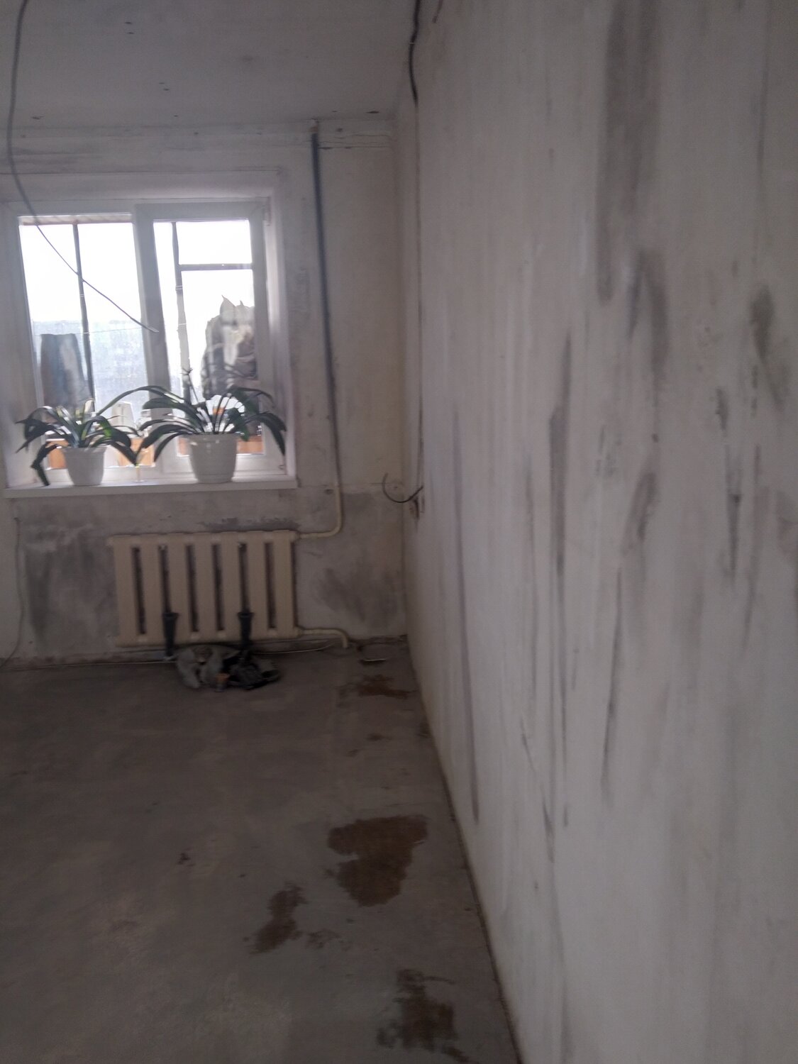 комната, квартира, жилой комплекс, помещение, квартира стройвариант