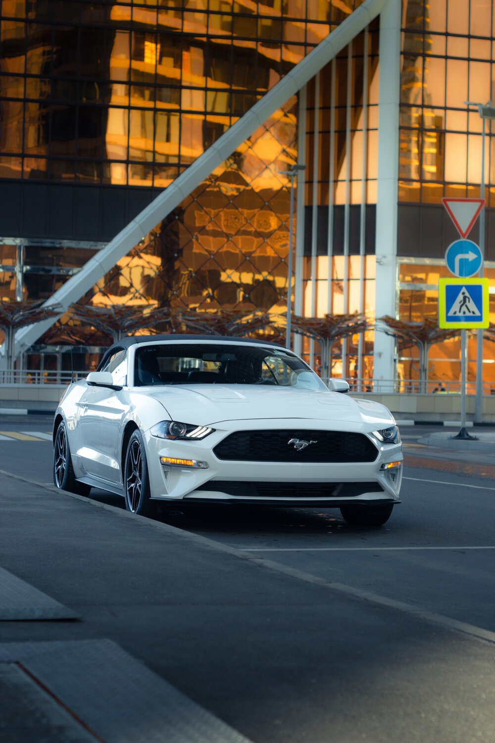 ford mustang, форд мустанг 2019, ford mustang 5.0 at gt, форд мустанг гт 350 2015, Ford Mustang V