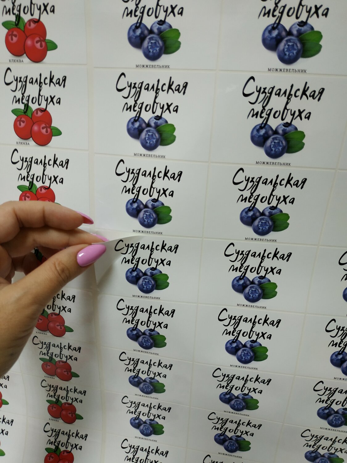 типы ягод на английском, фрукт, ягода, голубика, berries names