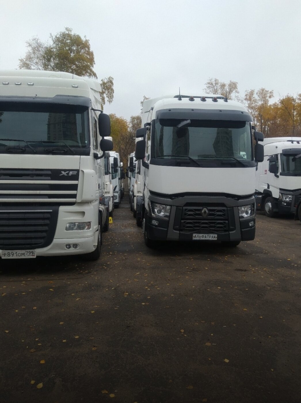 грузовик, грузовой автомобиль, авто, даф 105 2015, renault t