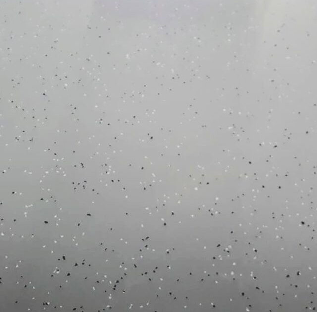 Устройство наливных полов