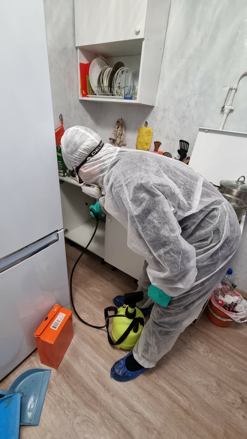 дезинфекция дезинсекция дератизация, дезинфекция помещений, дезинсекция, дезинфекция, дезинфекция помещений от клопов