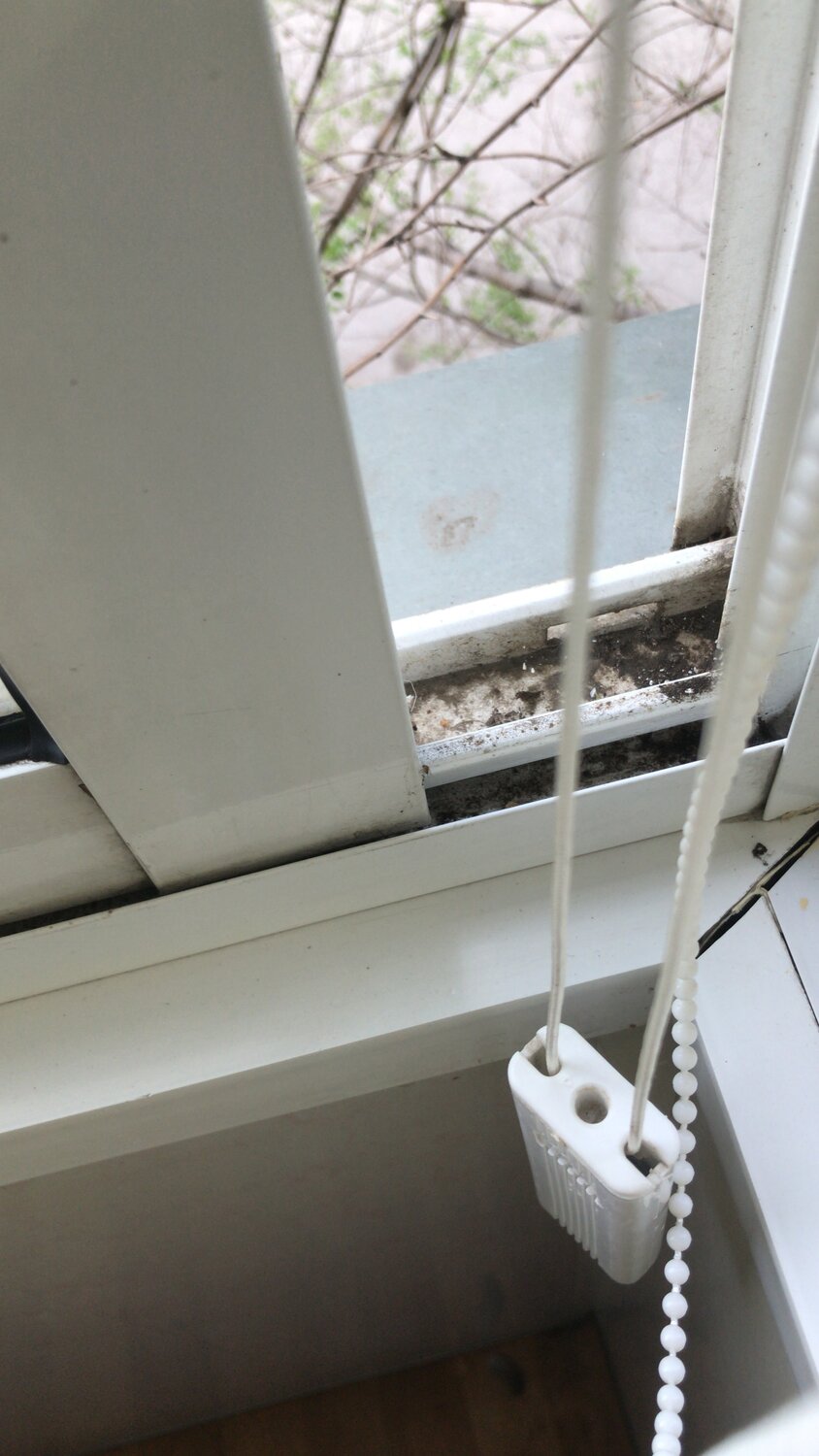 Клининг в Красноярске: 120 клинеров со средним рейтингом 4.5 с отзывами ...