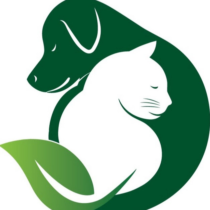 Логотип ветклиники картинки