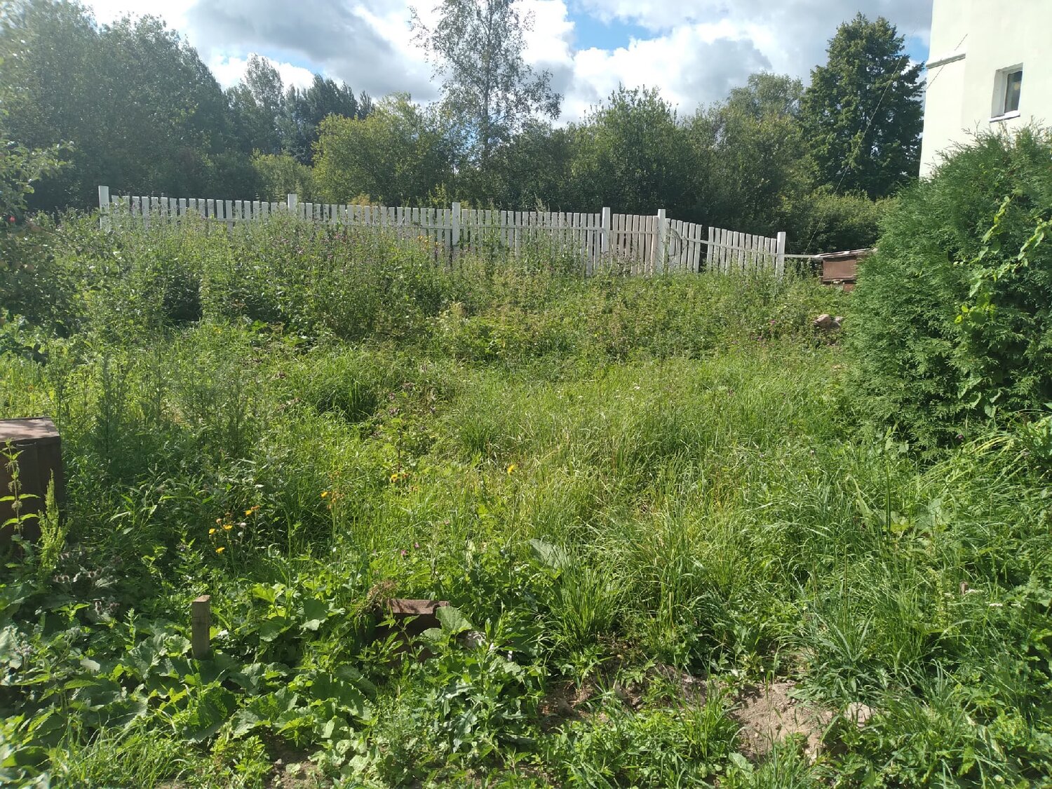 участок, дачный участок, заросший участок 6 соток, дачный участок без построек, дача