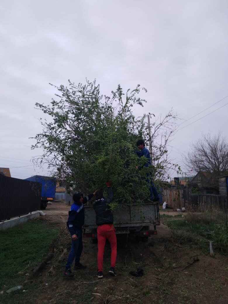 дачный участок, участок, дача дом, садовое товарищество, участок с домом