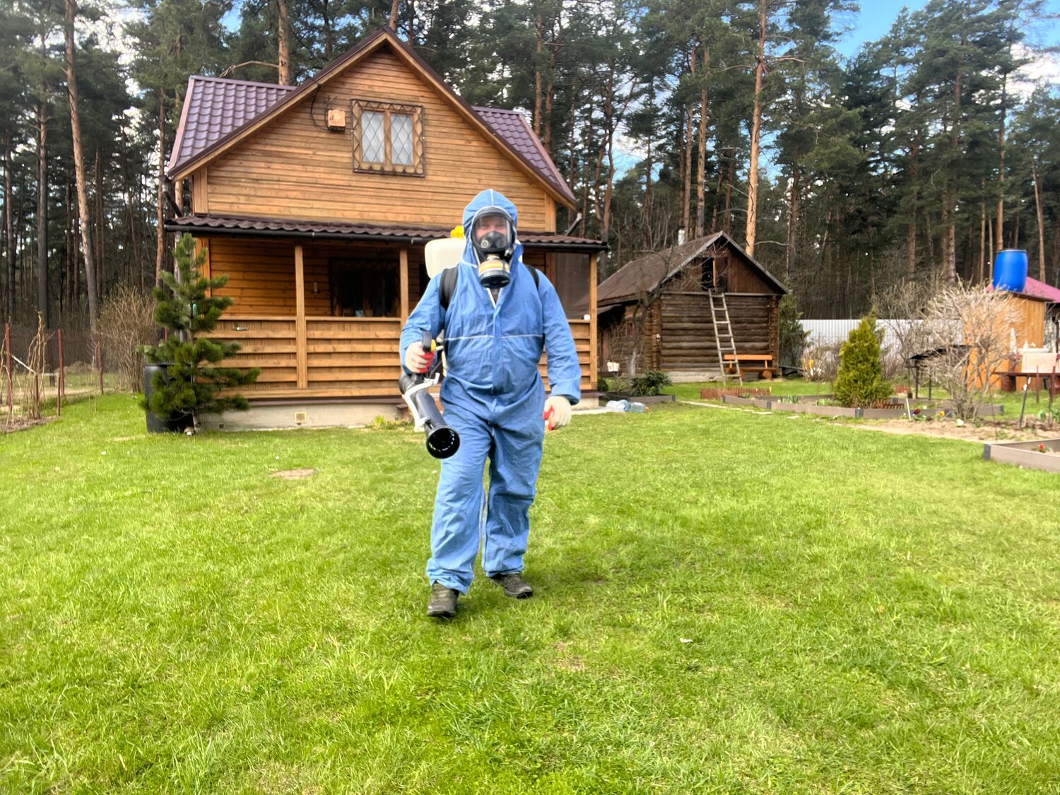 Чем обработать сарай от клопов - 86 фото