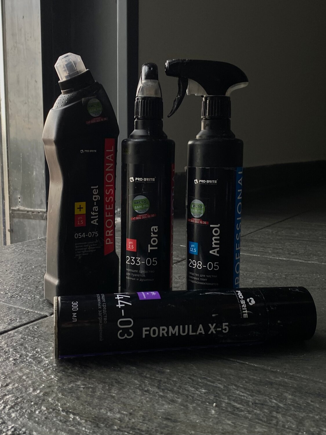 техника, asin professional 352-05 средство pro brite, профессиональная химия, химия для клининга, бытовая химия