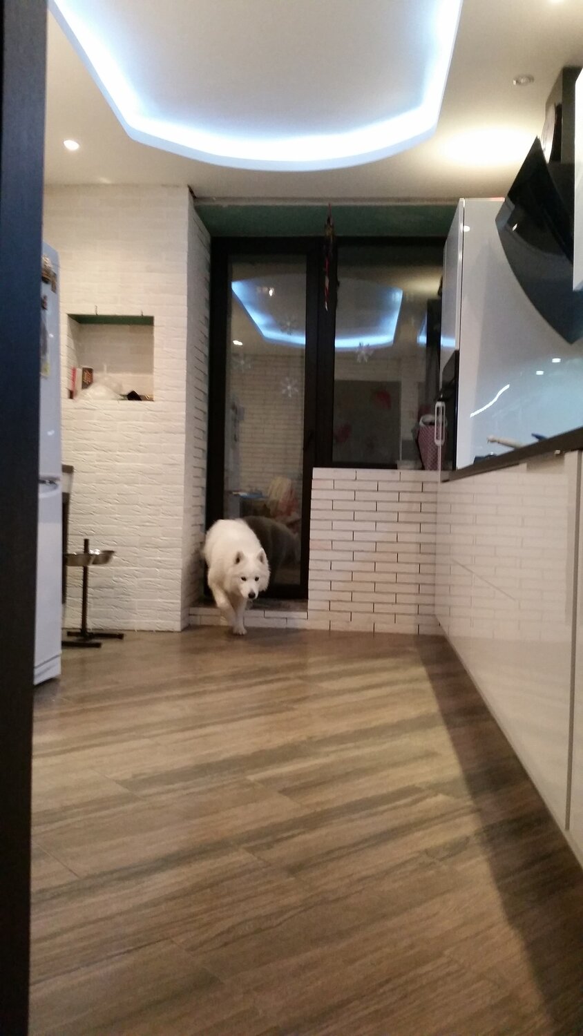 Ремонт квартир и домов в Твери: 120 мастеров по ремонту со средним ...