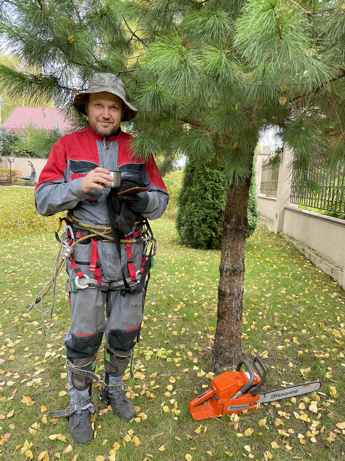 Спил и обрезка деревьев и кустарников в Москве - Хозяйство и уборка ...