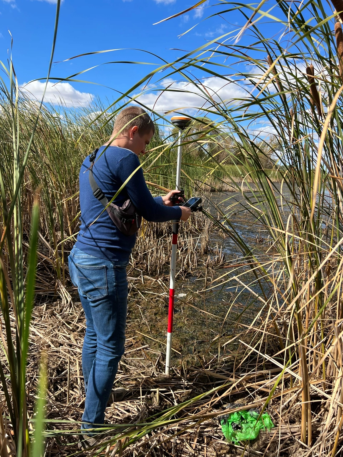 природа, растение, весенняя рыбалка, рыбалка, уроки рыбалки