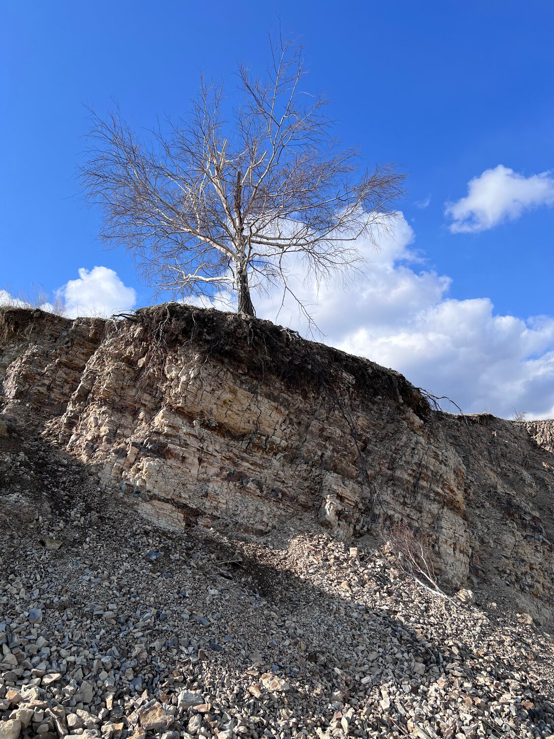 природа, горы, дерево в пустыне, дерево, провал грунта