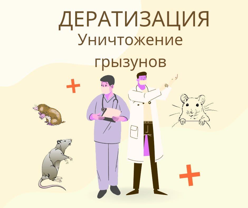 уничтожение грызунов дератизация, уничтожение крыс, уничтожение грызунов, дератизация, дезинсекция