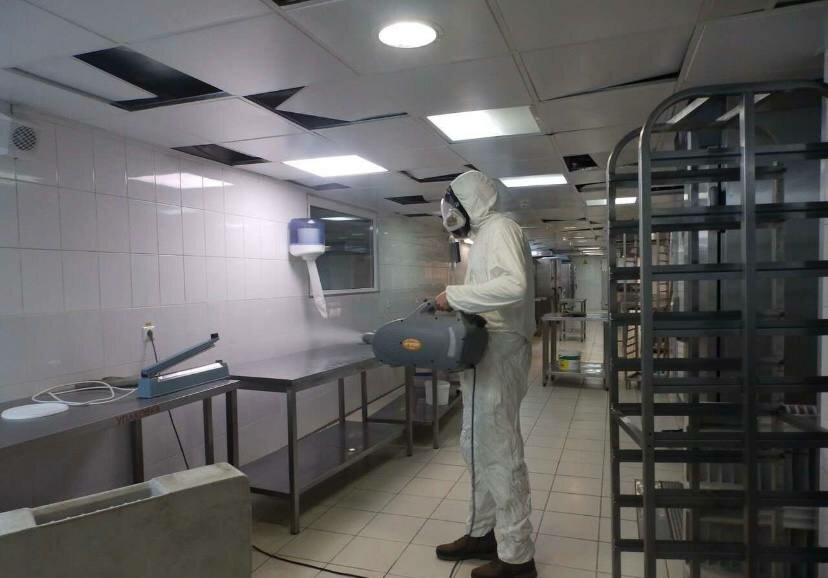 дезинфекция, дезинфекция дезинсекция дератизация, дезинсекция, дезинфекция столовой, дезинфекция помещений