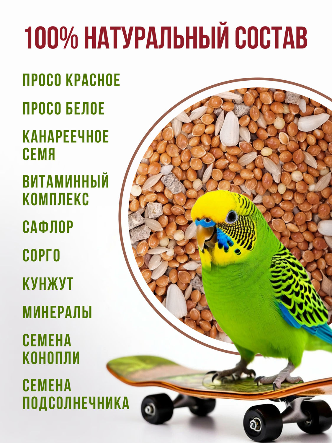 волнистый попугай, волнистый попугайчик, волнистый попугайчик зеленый кеша, корм попугая, корм для волнистых попугаев