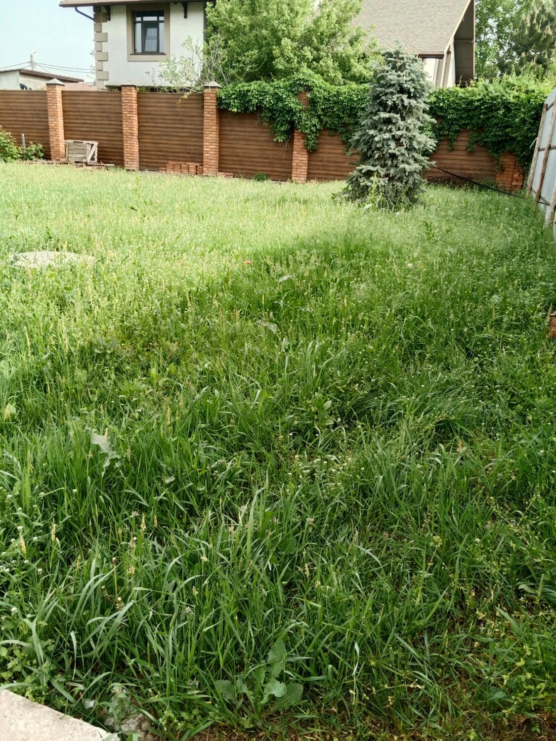Дмитрий Валерьевич П. - Хозяйство и уборка, Уход за садом и огородом ...