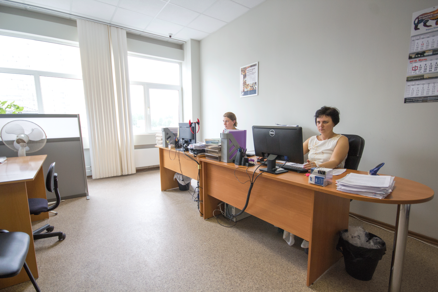 местные, школа, офис, бухгалтерия, бюро и отдел