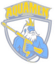 Выездная химчистка "AQUAMEN"