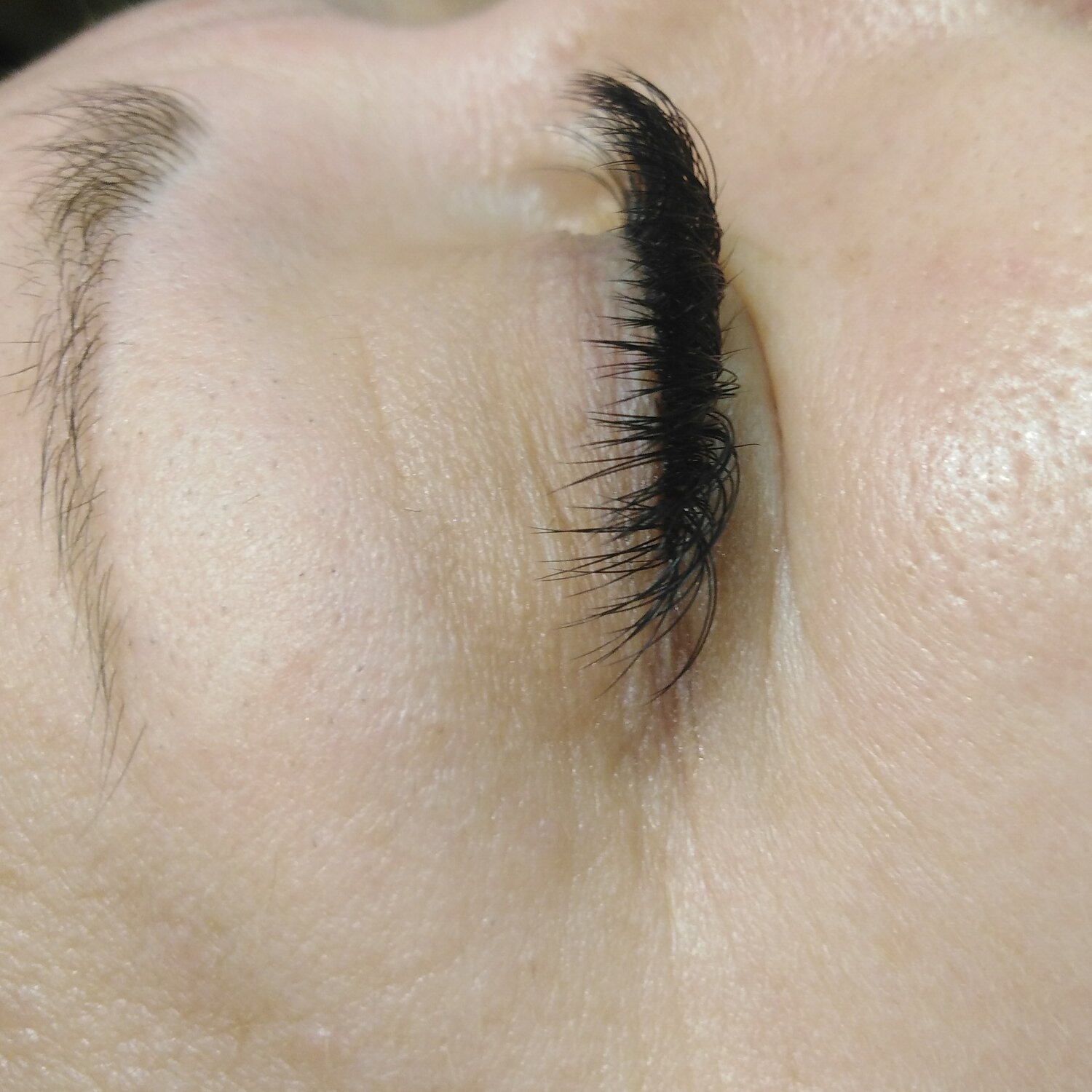 ресницы, наращивание ресниц, кашемир ресницы, наращивание ресниц петрозаводск, наращивание ресниц с пушистым хвостом