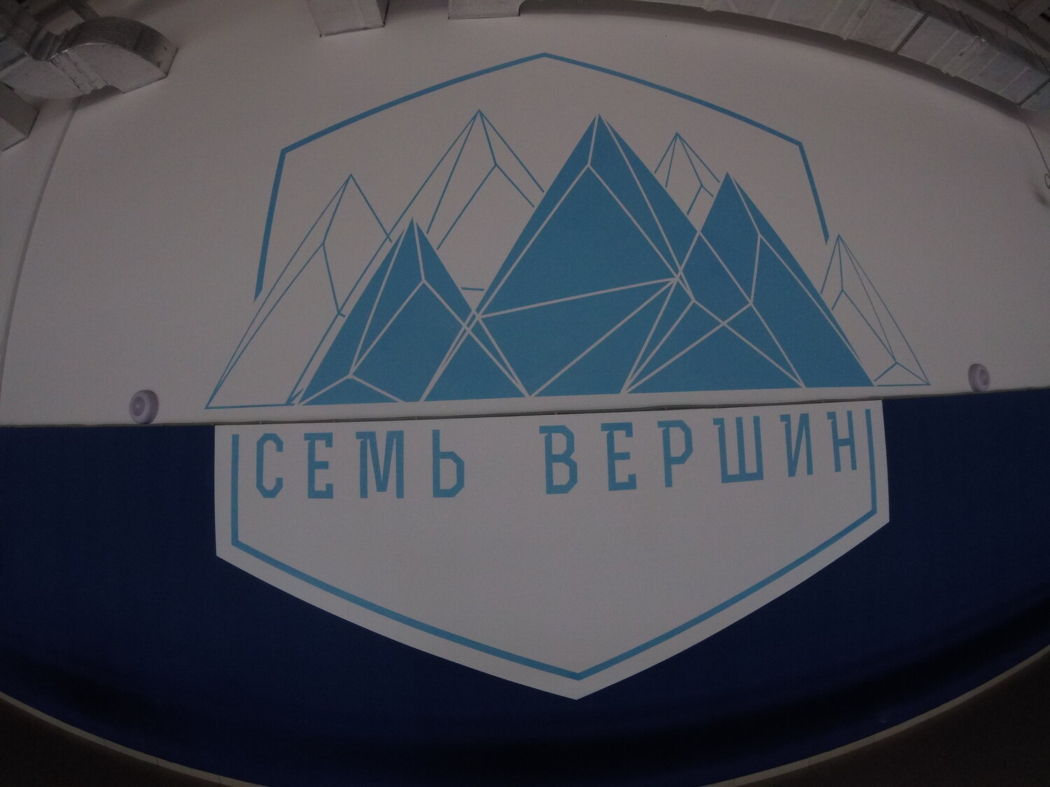 эмблема интернешнл, логотип, эмблема, 7 вершин лого, элкарт