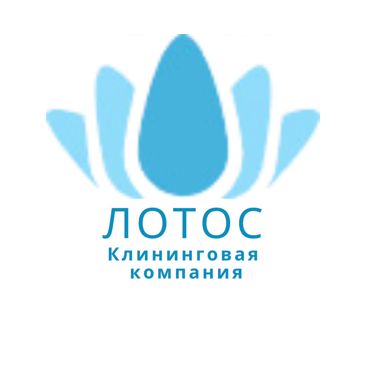 ЛОТОС клининговая компания - Хозяйство и уборка, Уборка, Химчистка ...