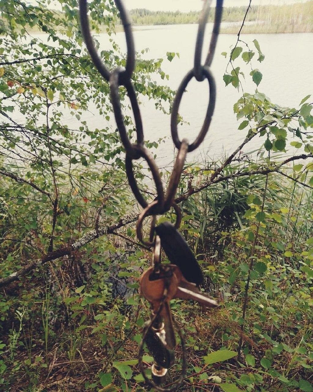 природа, дерев, tree, канатный парк, растения