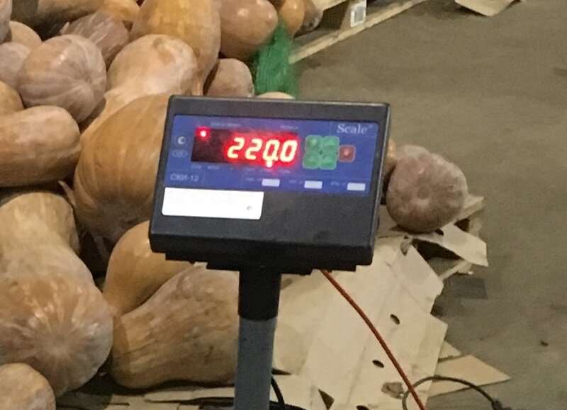 весов, продукт, техника, весы cas em 15r, весовой терминал скейл ски-12