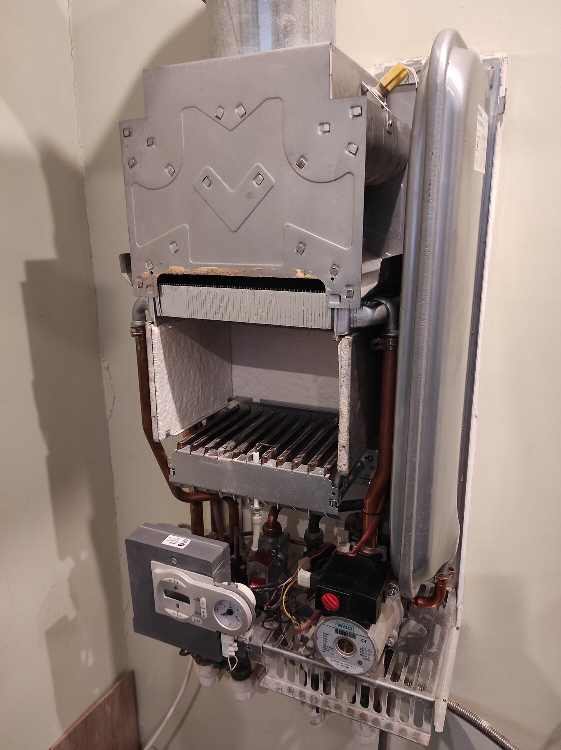 газовый котел ferroli fortuna f 24, газовые котлы, котел, двухконтурный газовый котел, газовый котел wolf cgg-1k-24
